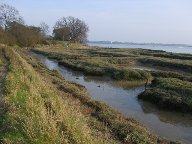 File:Mudflats at River Crouch estuary - geograph.org.uk - 395918.jpg