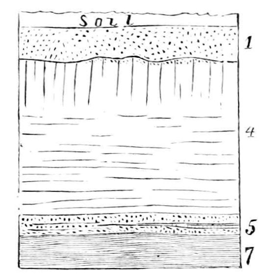 Soil+layers