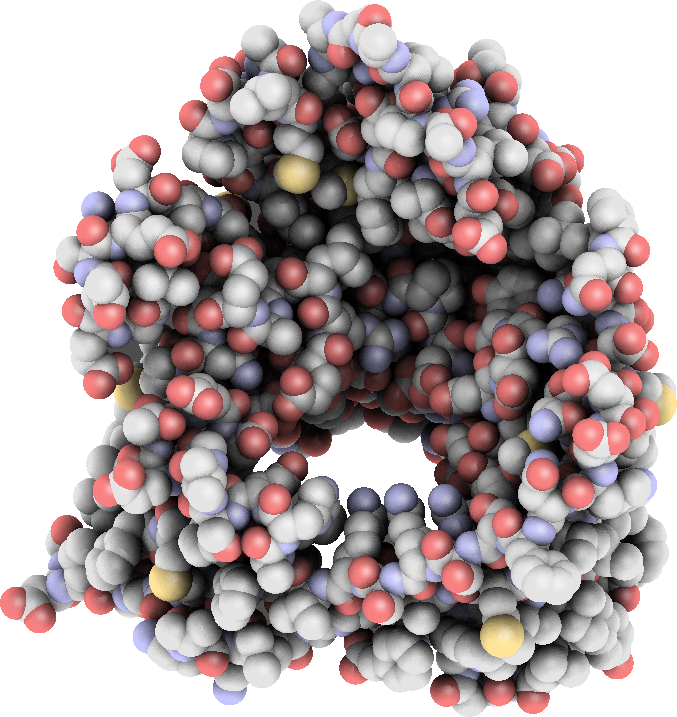 Porin protein (SpaceFill representation)