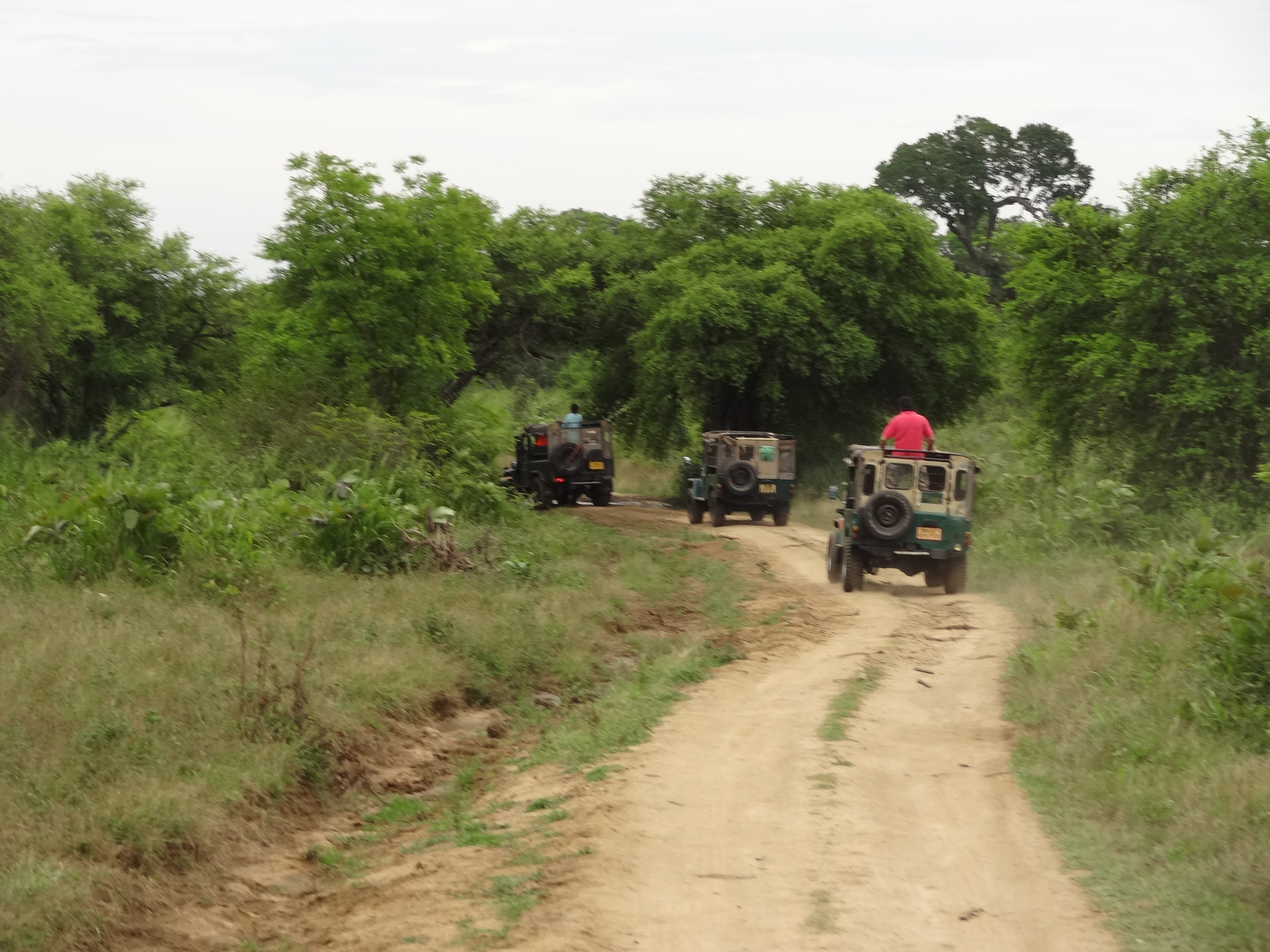 Jeep Safari In Recife