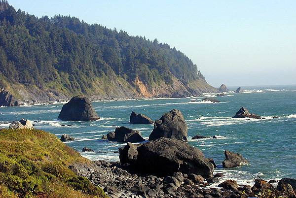 Image result for image redwood national forest pacific coast