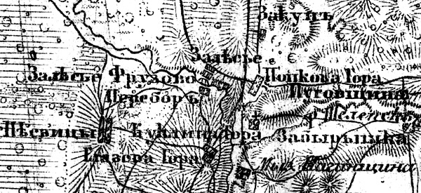 Деревня Залесье на карте 1919 года