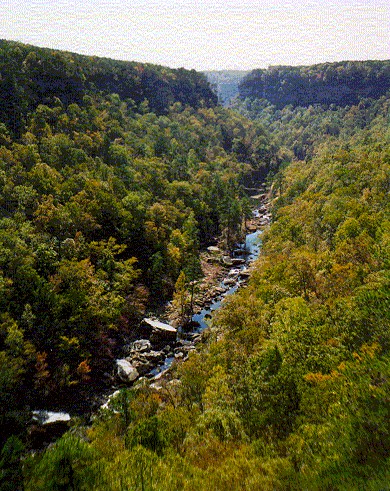 Mentone Cabins on Fort Payne