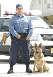 NJ Transit Police K-9 officer, with dog.