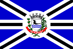 Bandeira do Município de Jacarezinho