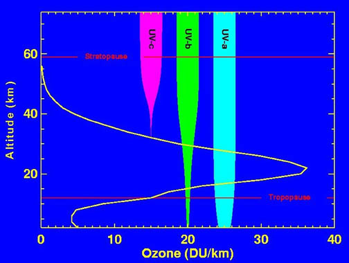 http://en.wikipedia.org/wiki/Image:Ozone_altitude_UV_graph.jpg