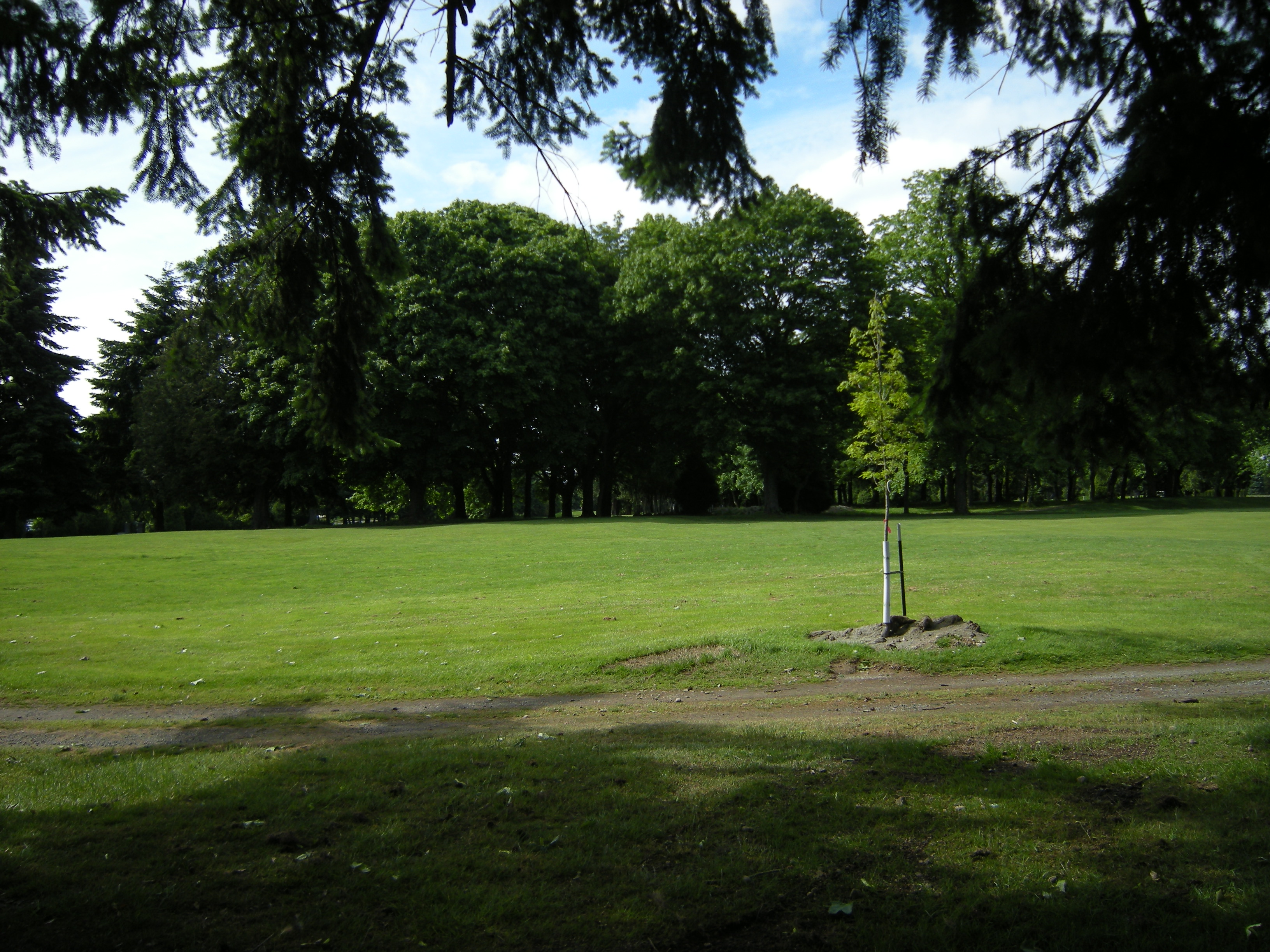 park golf
