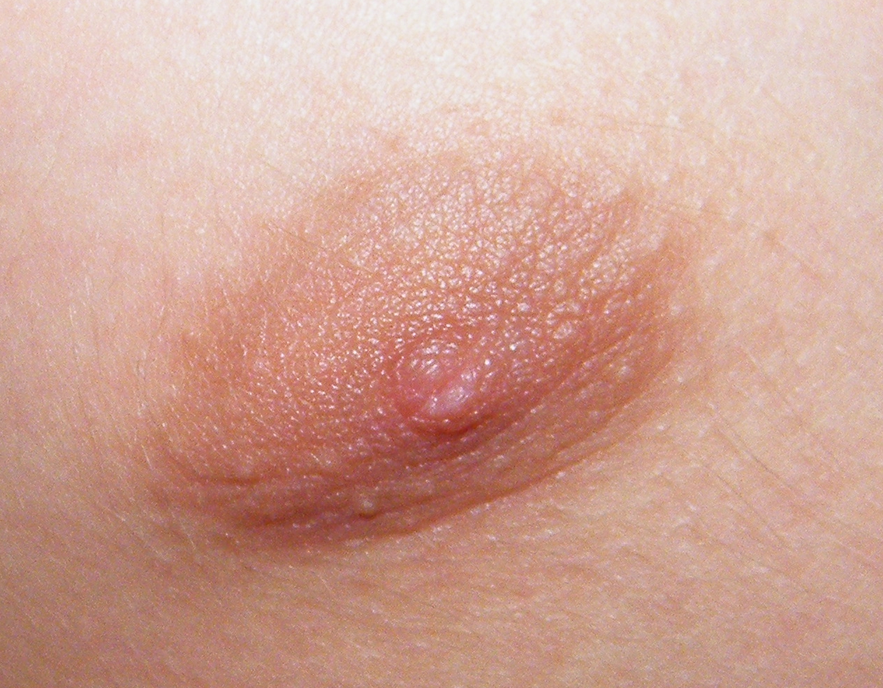 Macro Nipple