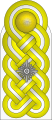 Schulterstück (Luftwaffe)