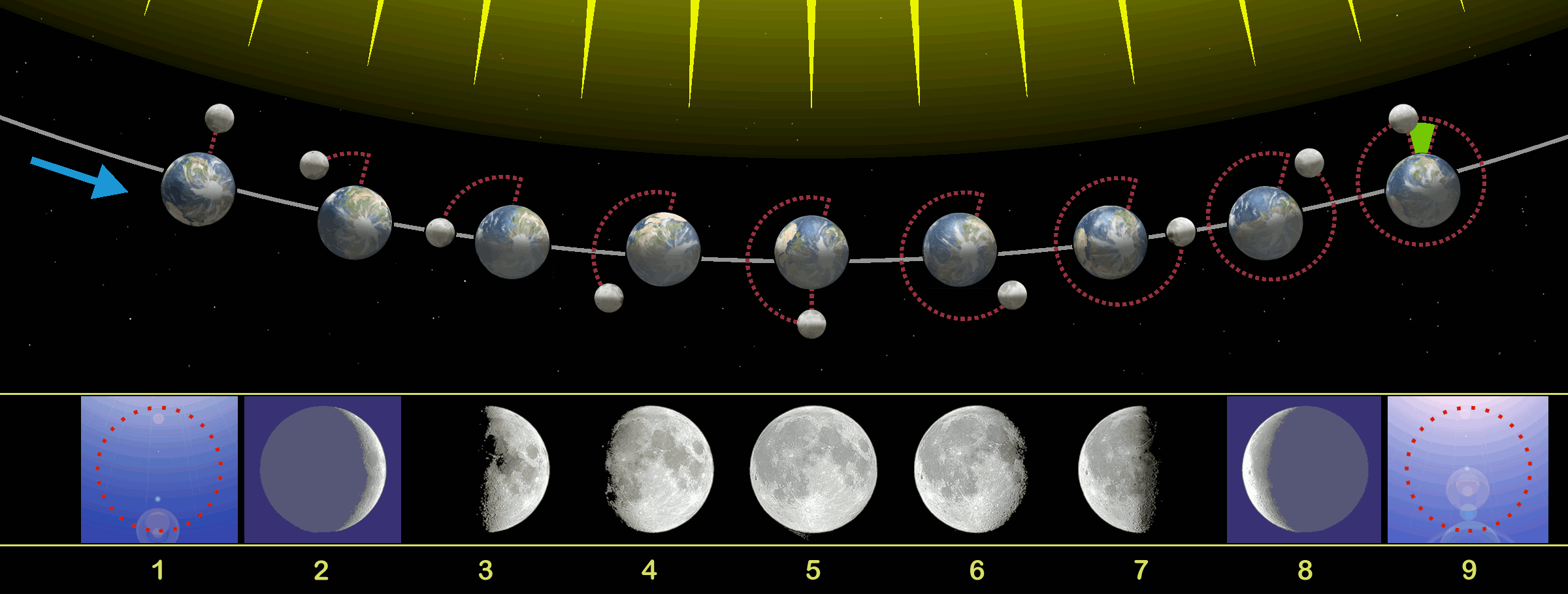 moon phases 