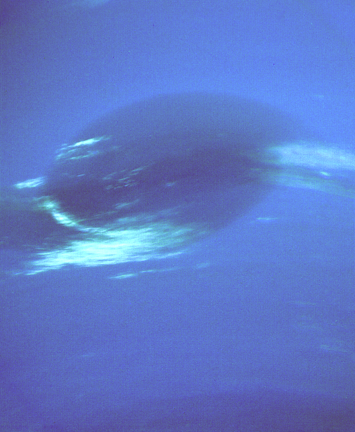 Neptune Spot