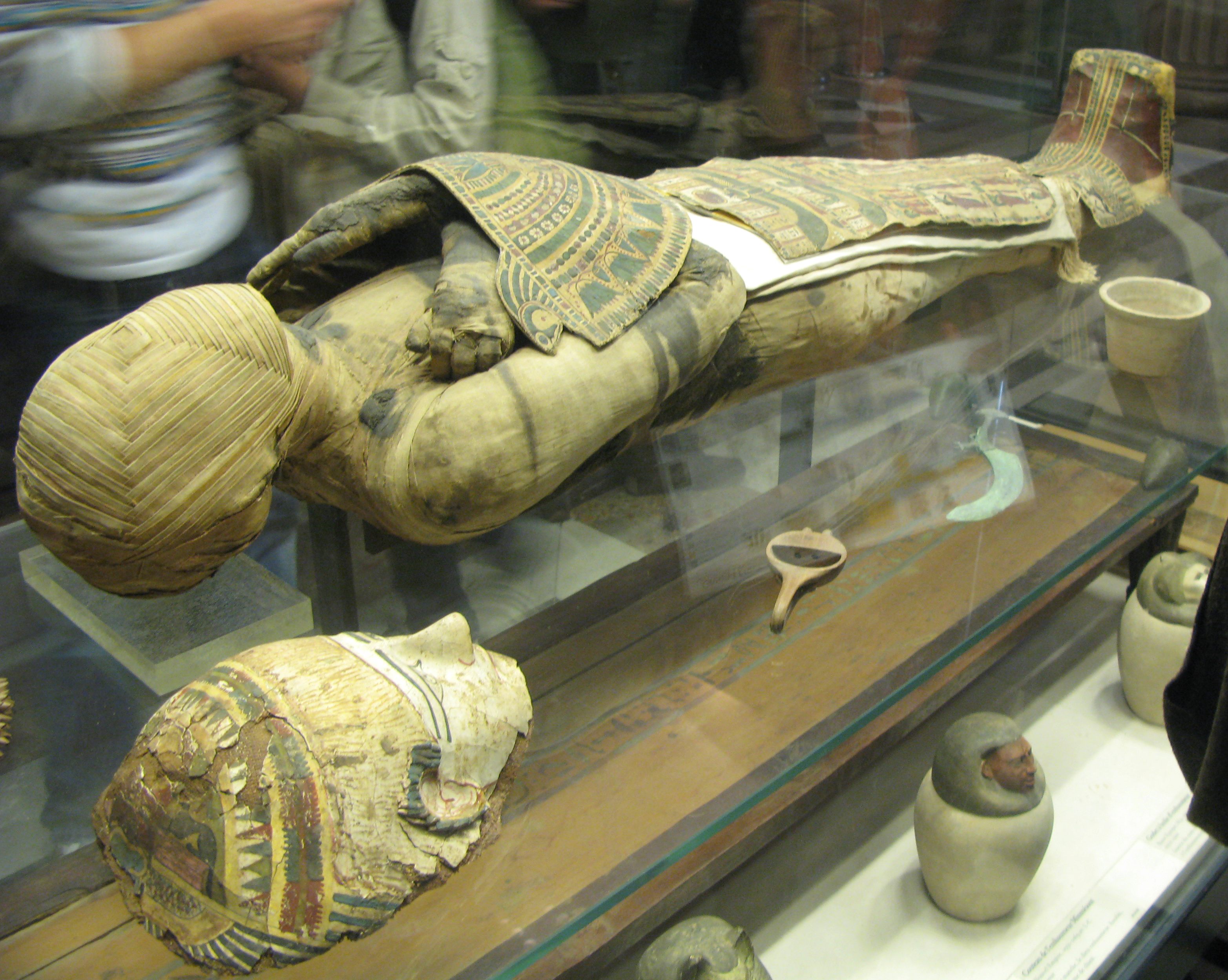 mummy egypt pictures