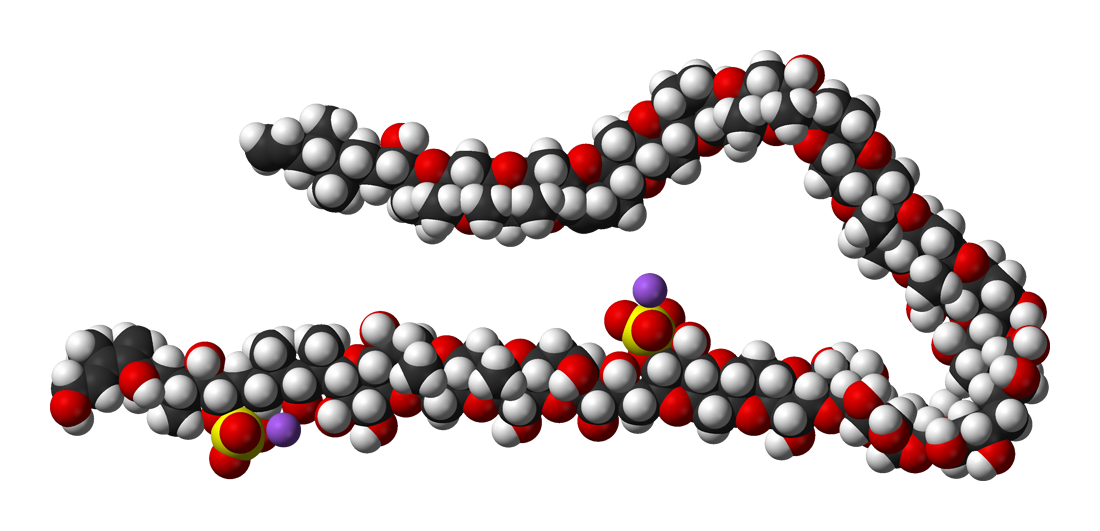 Maitotoxin-3D-vdW.png