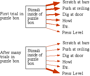 Operant Conditioning Chart