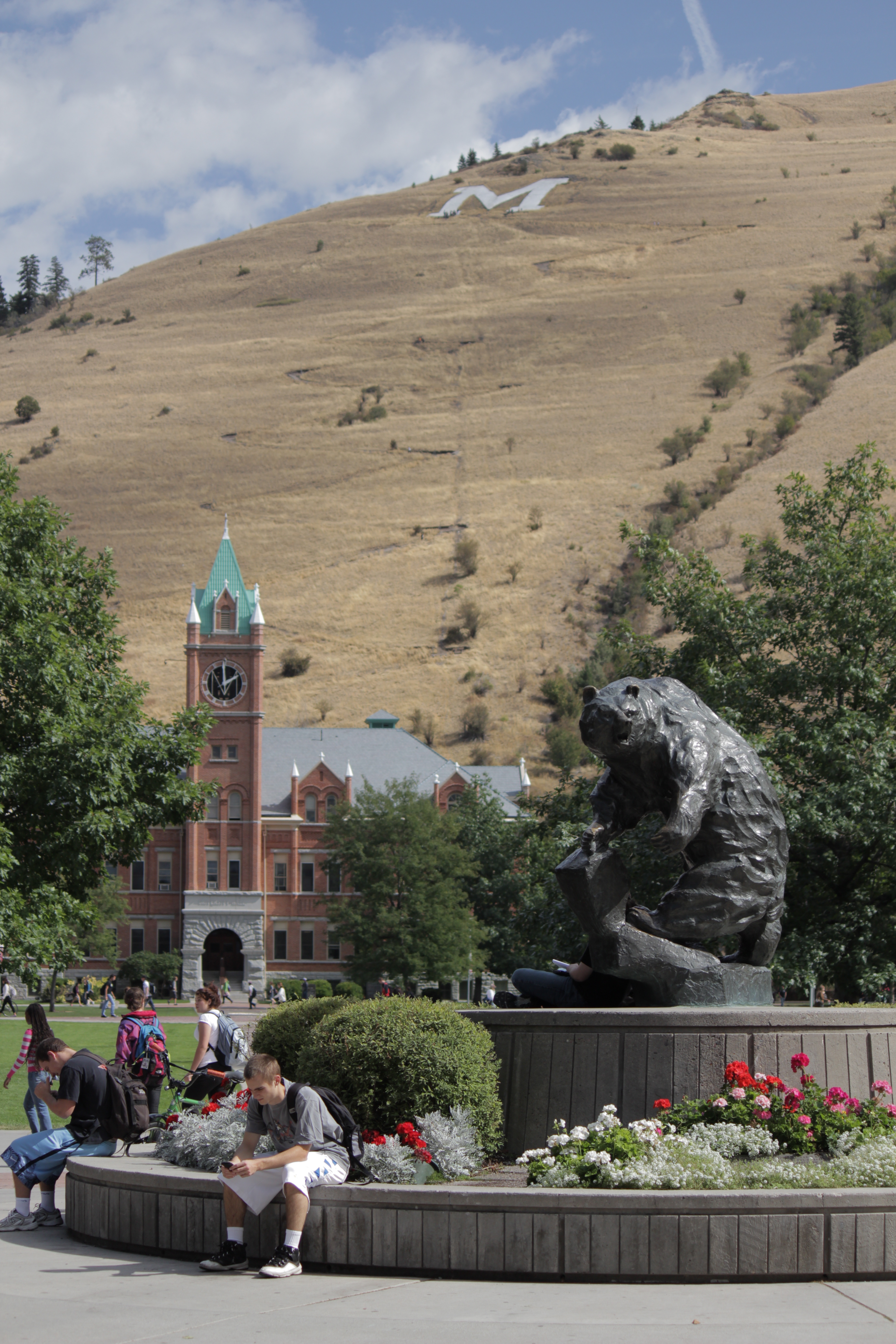 university of Montana