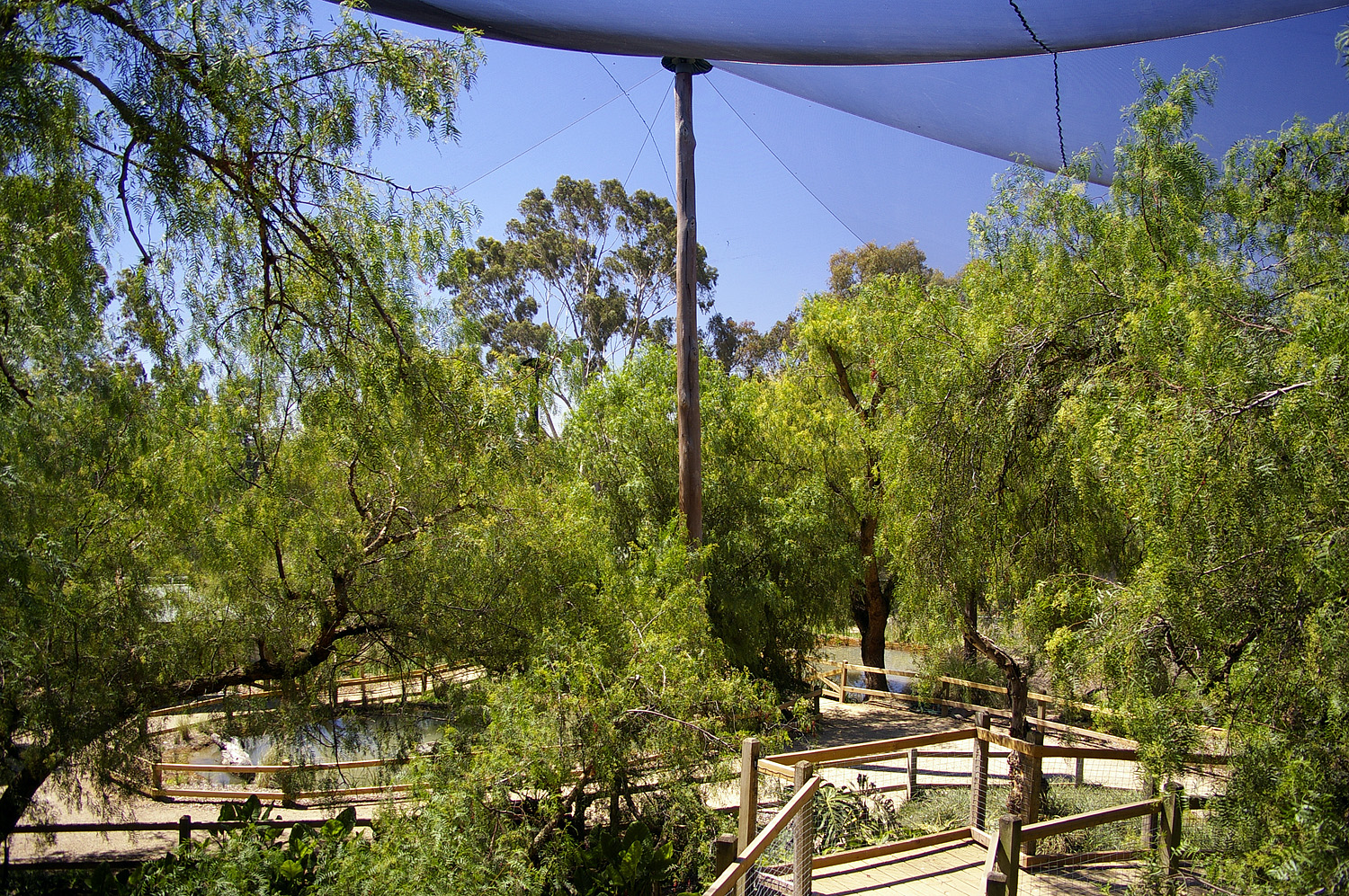 Flight Aviary