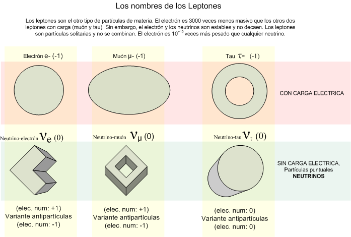 File:Leptones nombres.png
