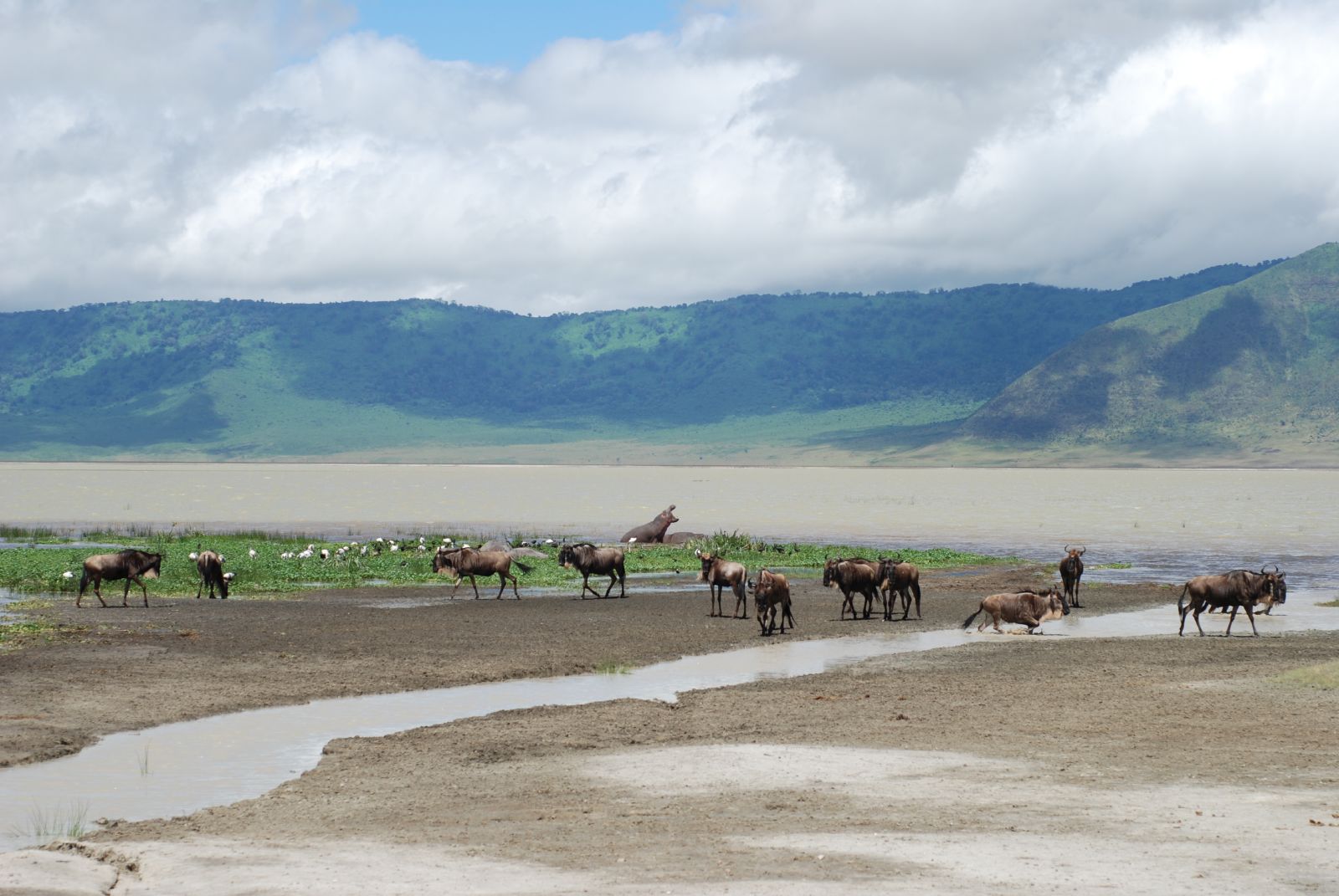 Ngorongoro Crater