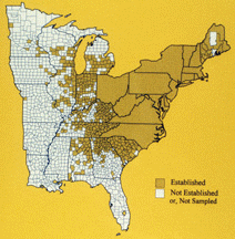 US distribution of Japanese Beetle, (This map ...