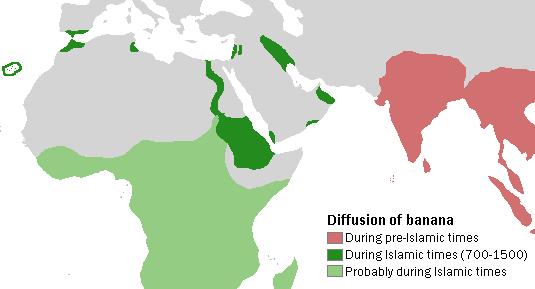 Actual and probable diffusion of bananas during Islamic times (700-1500 AD).