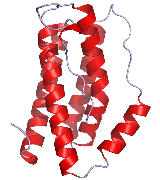 http://upload.wikimedia.org/wikipedia/commons/e/e7/IL6_Crystal_Structure.rsh.png