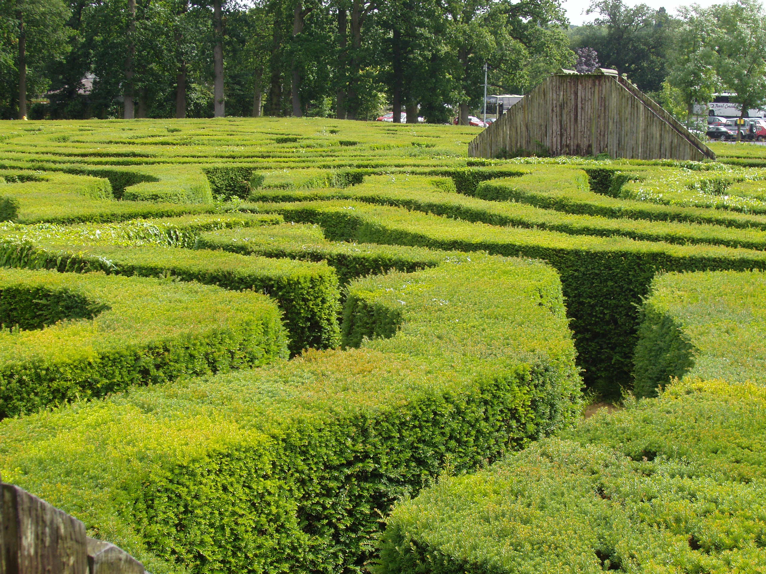 Hedge Maze