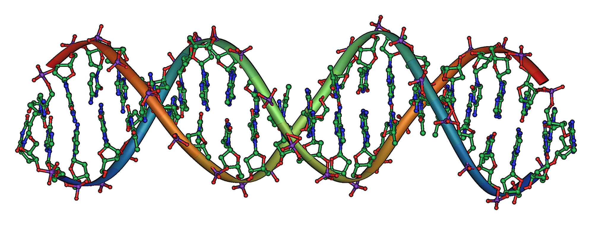 DNA_Overview_landscape_orientation