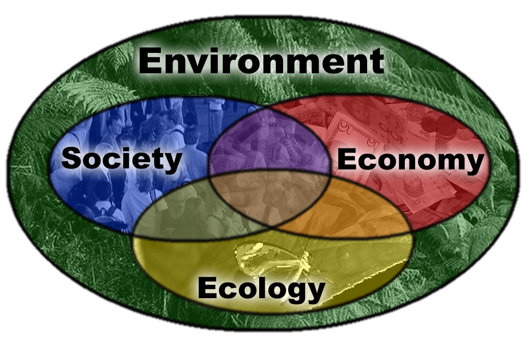 Pictures Of Ecology