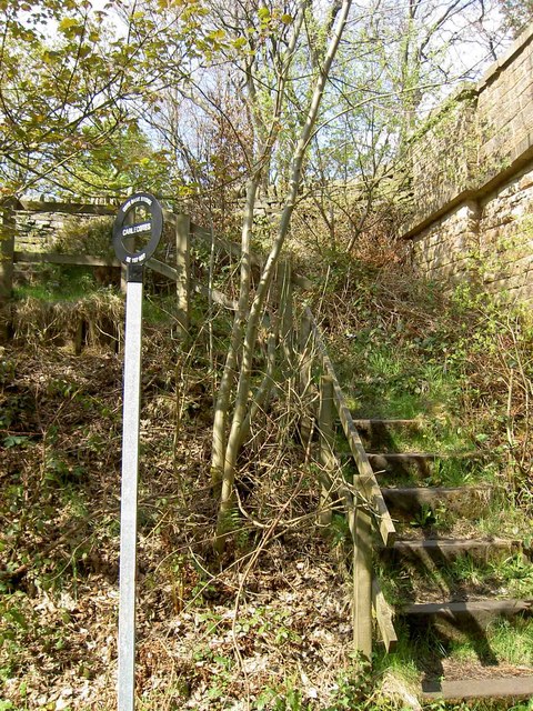 Steps_to_footpath_to_Carlecotes_from_the_Trans_Pennine_Trail_-_geograph.org.uk_-_1277731.jpg