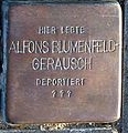 Blumenfeld-Gerausch, Alfons