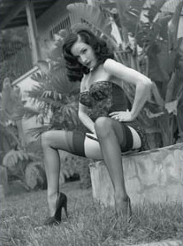 English: Dita Von Teese photographed by Steve ...