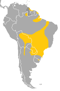 Map of South America, with yellow shading depicting the species' range