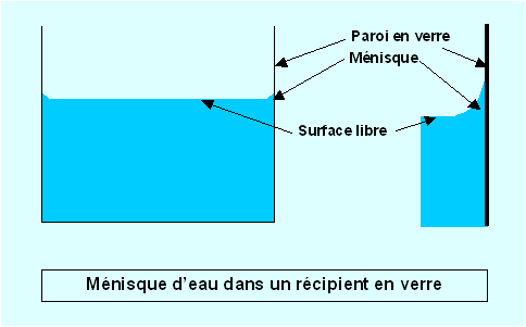 Ménisque d'eau dans un récipient en verre