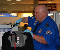 English: A TSA officer screens a piece of luggage.