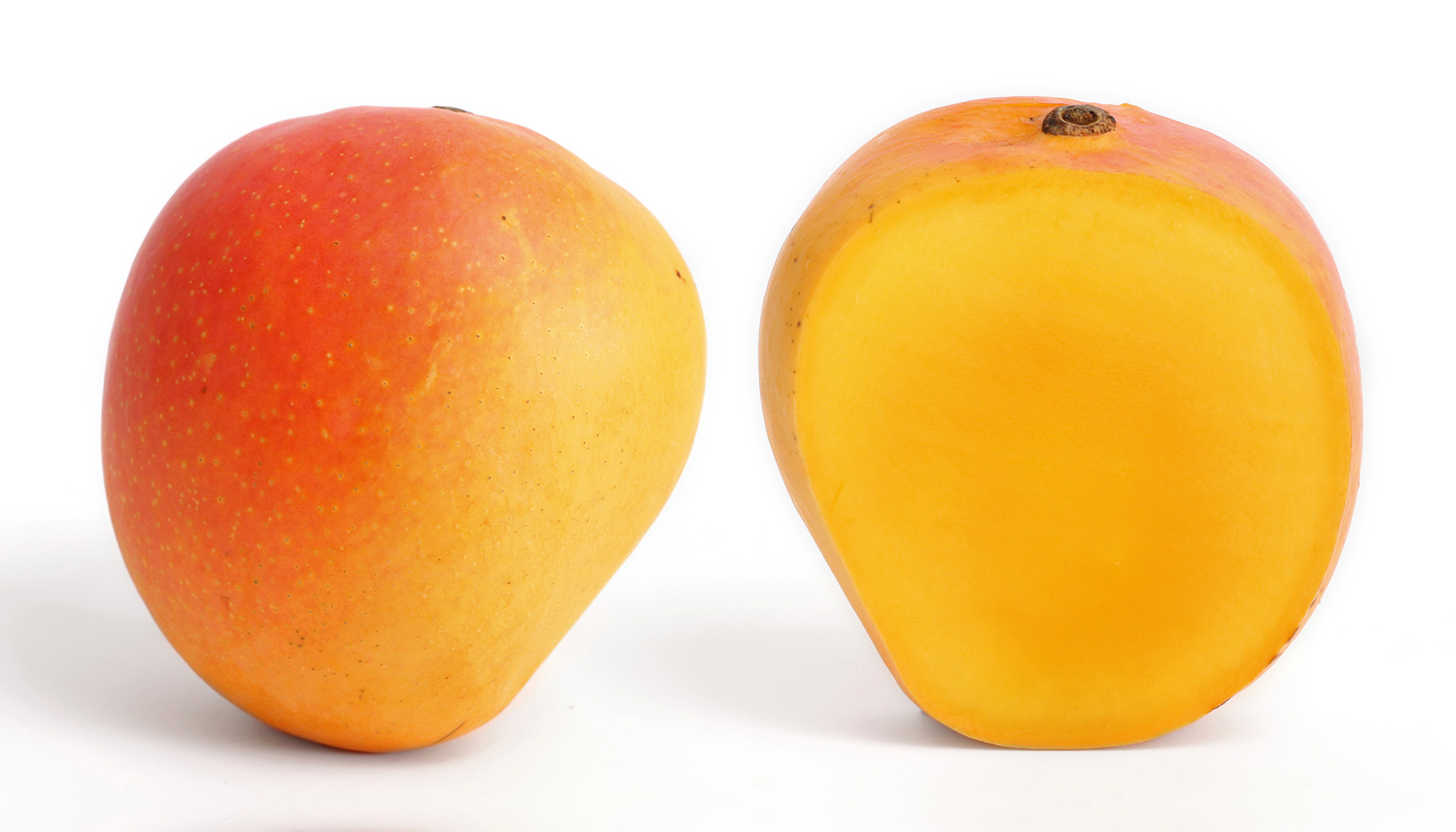 Mango and its longitudinal section
