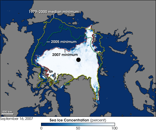 arctic seas