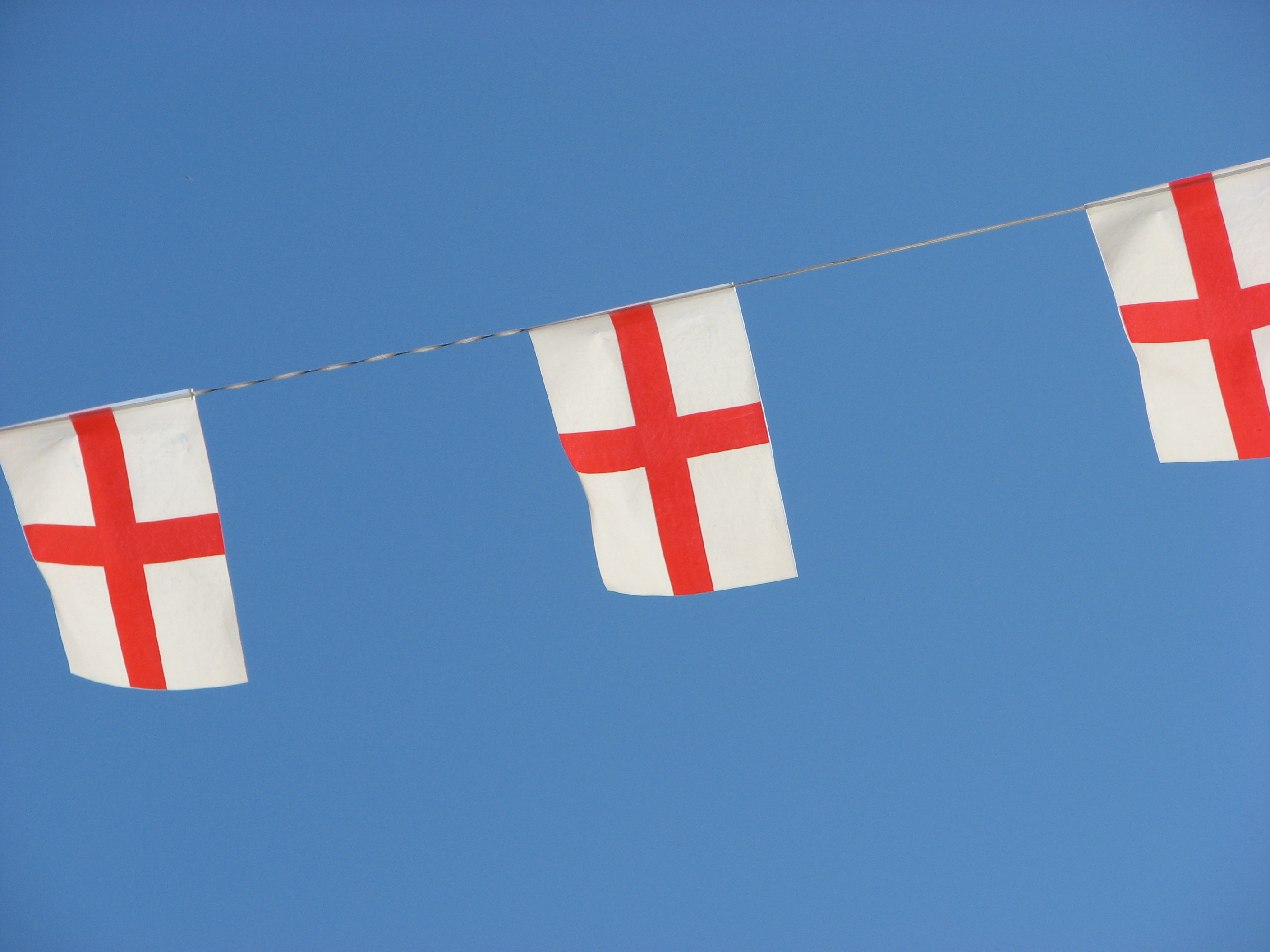 England Bunting