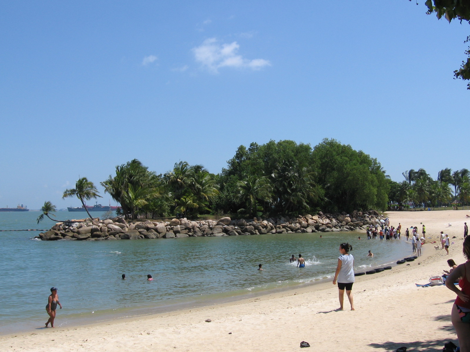 Download this File Palawan Beach... picture