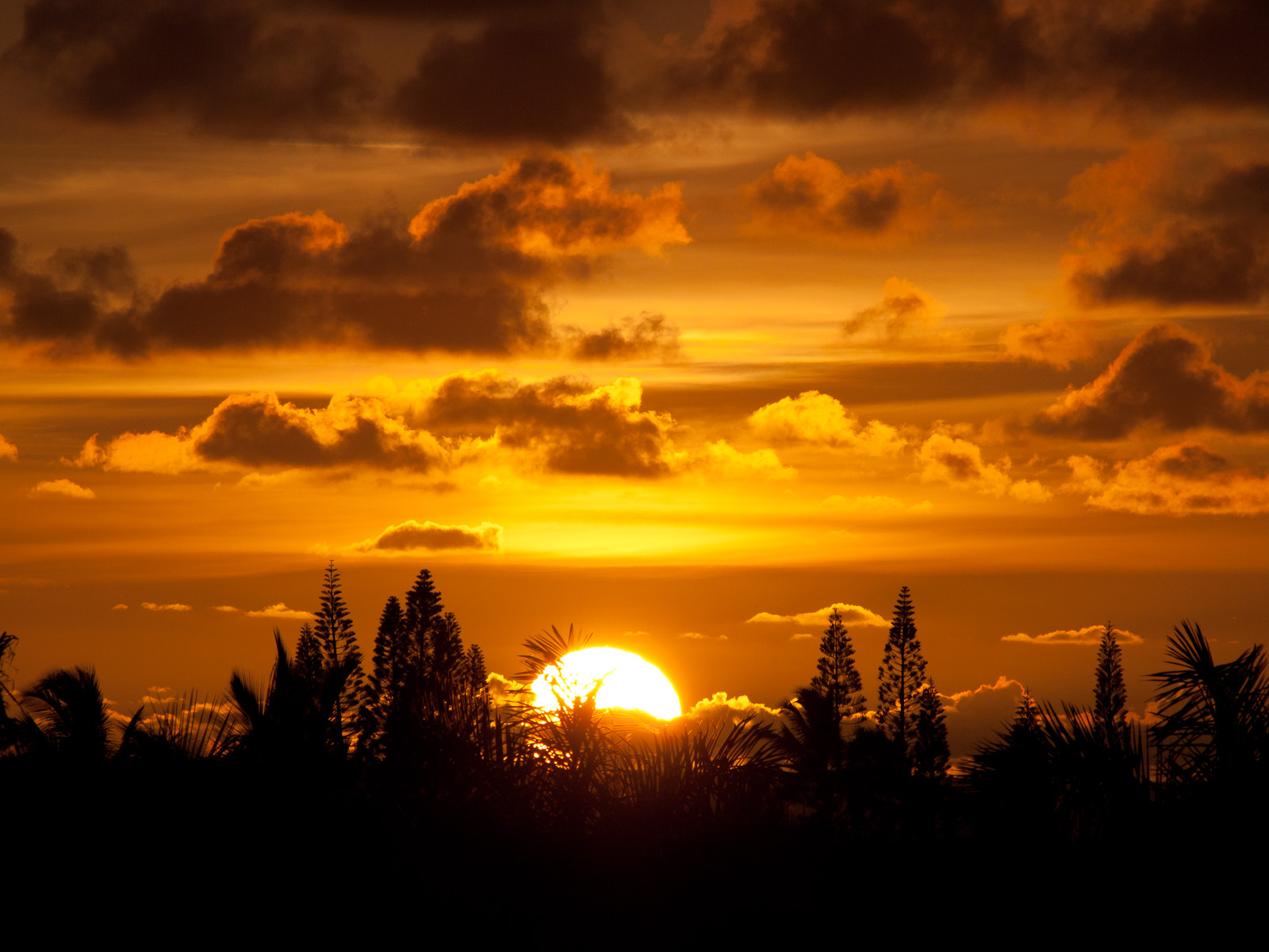 Description Sunrise, Kauai.jpg
