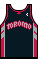 Комплект кузова torontoraptors 08roadalt.png