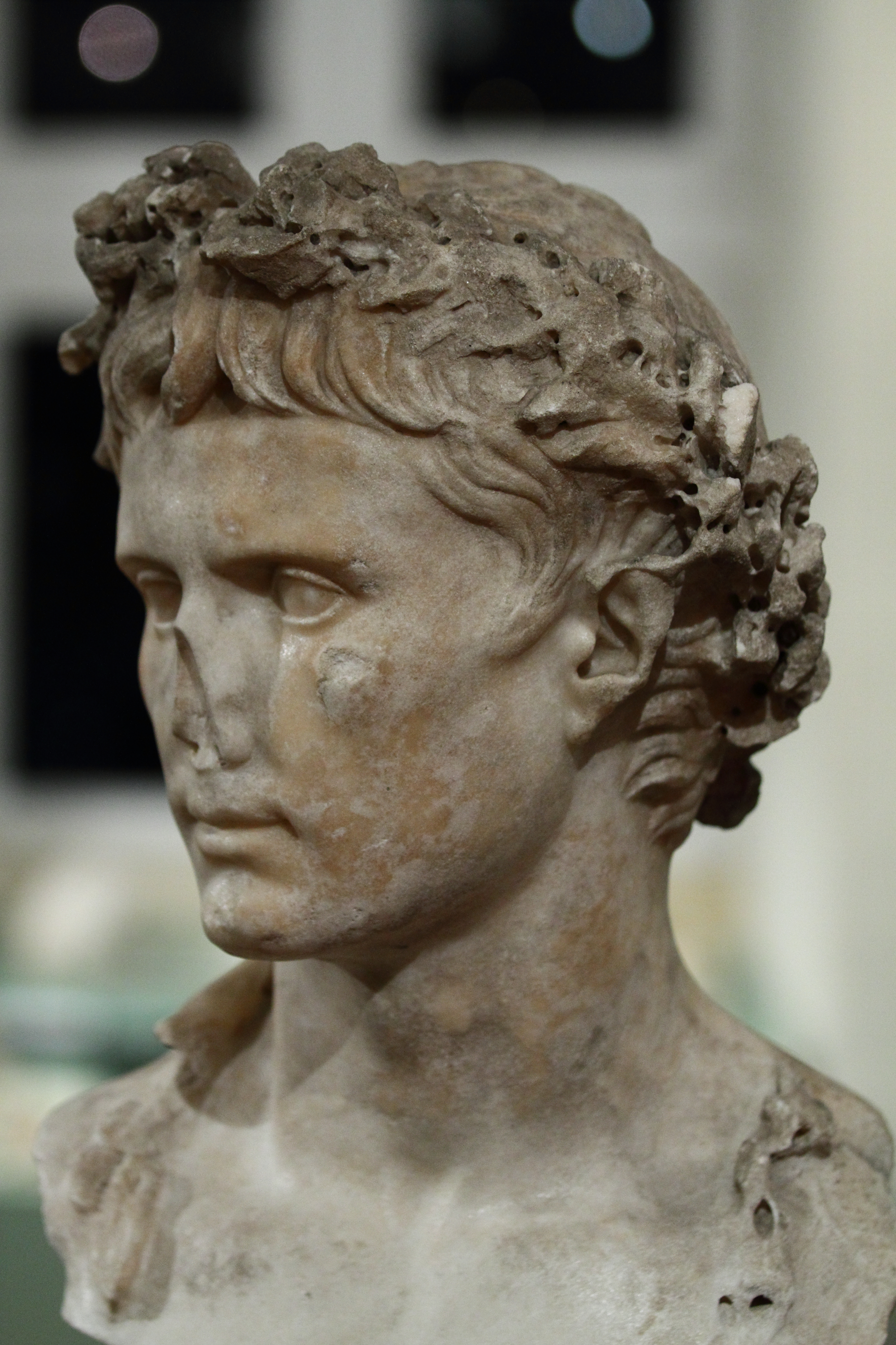 The Imperator Caesar Divi Filius Augustus