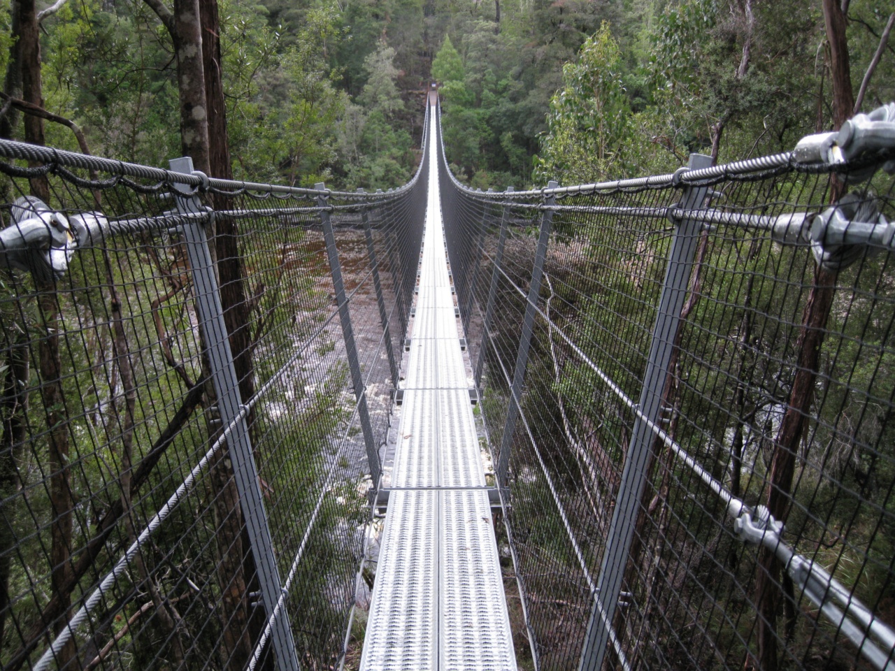 Bohol swinging bridge