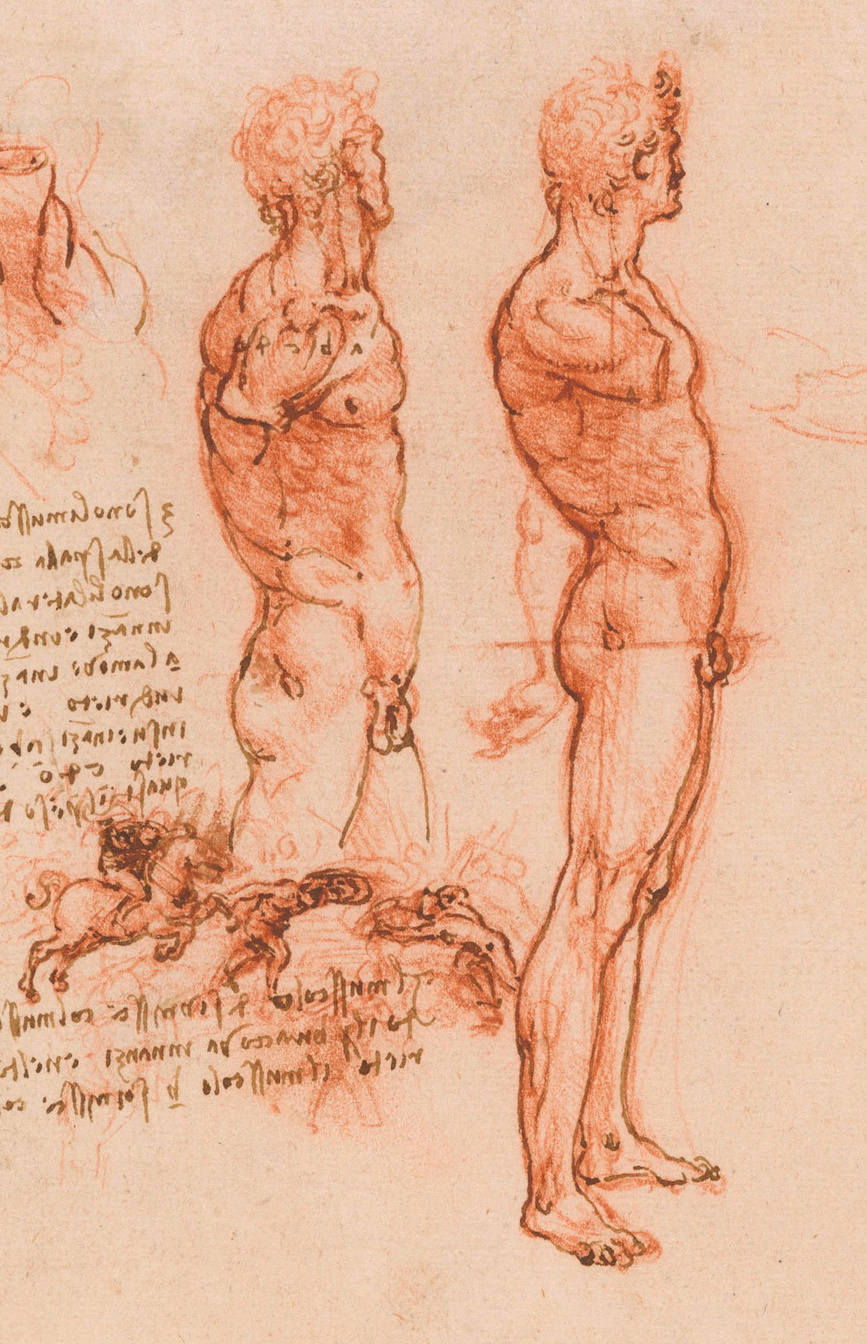 http://upload.wikimedia.org/wikipedia/commons/f/f5/Anatomy_of_a_Male_Nude.jpg