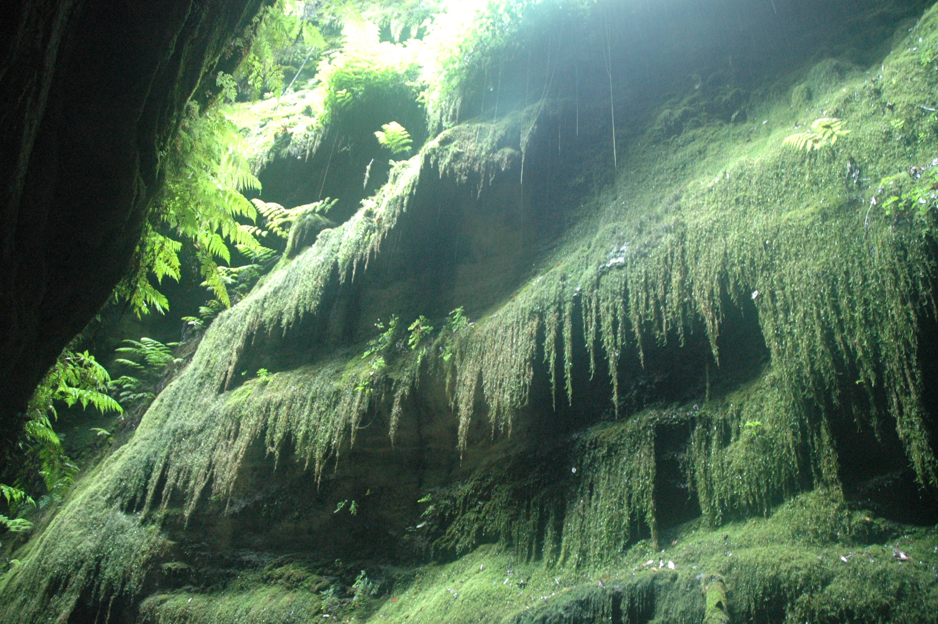 http://upload.wikimedia.org/wikipedia/commons/f/f5/Cubo_de_la_Galga-Puntallana-La_Palma.jpg