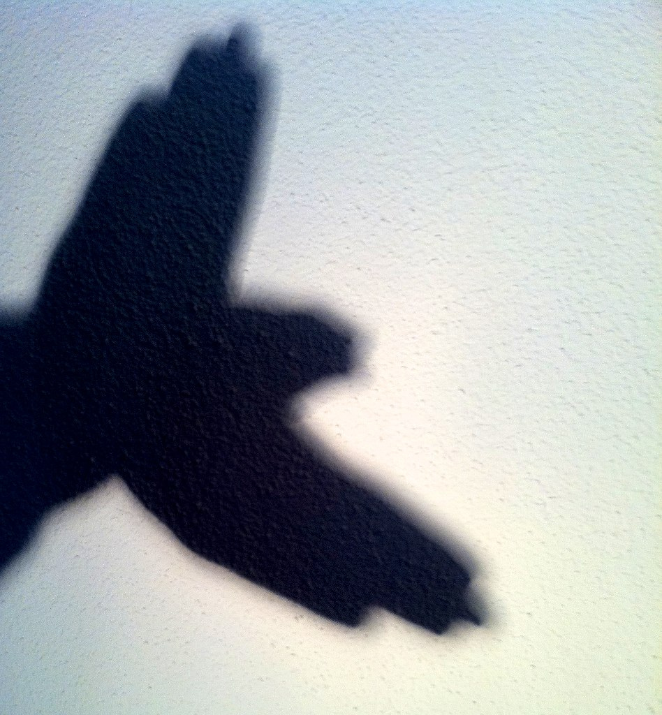 Hand Shadow Bird