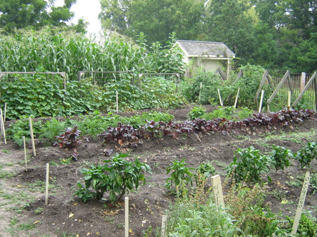 Government Herbal Farm