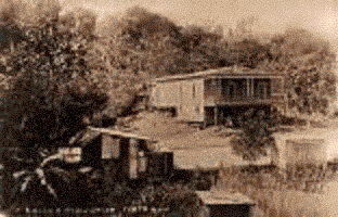 File:Yauco Coffee Plantation.gif