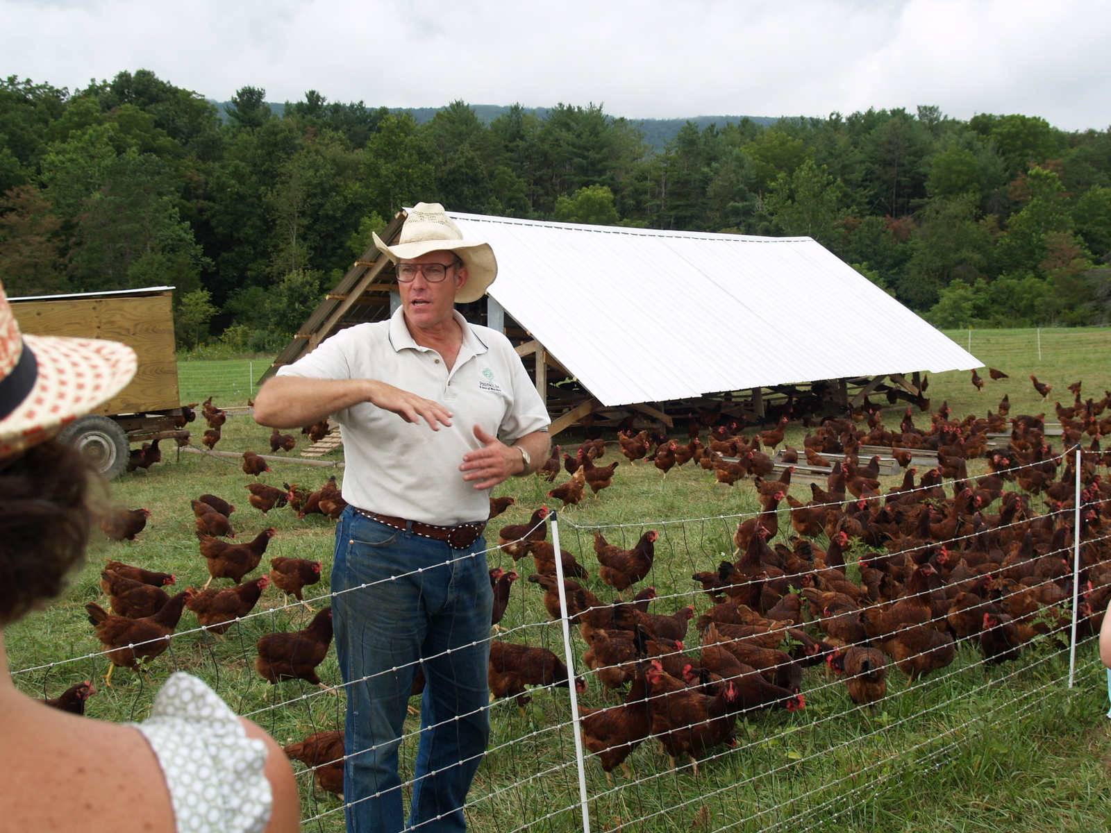 Description Joel Salatin in front of hens.jpg