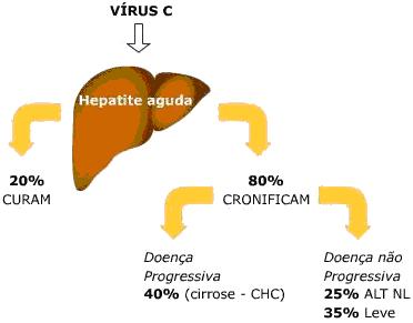 Hepatite C - Curso.JPG