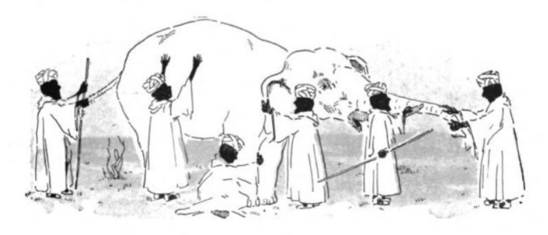 Blind men and the elephant